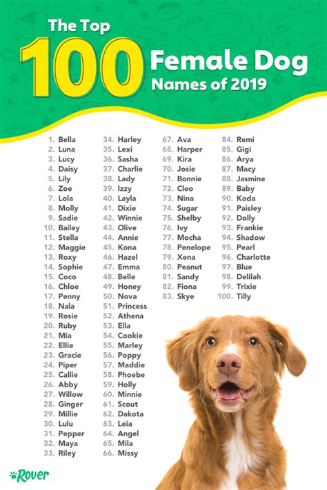 top 100 female puppy names